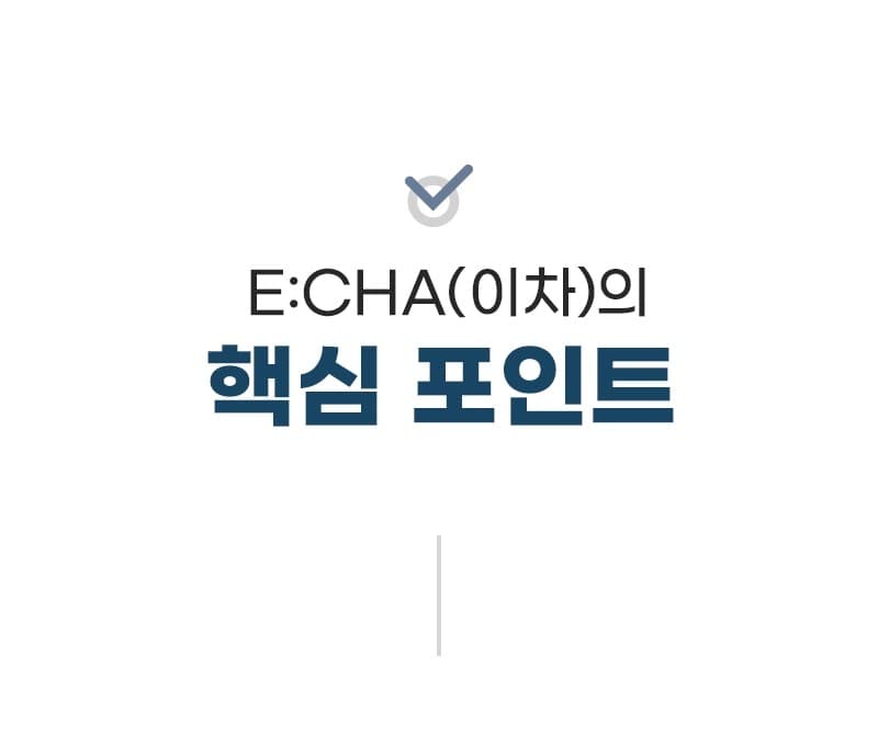 성인용보행기 이차(E:CHA) 상세이미지 2